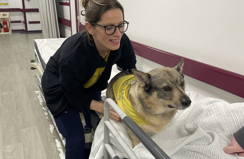 Therapy Dogs bring kindness to patients in the corridors 