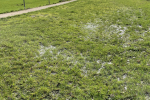 Flooded pitch at Chessy FC